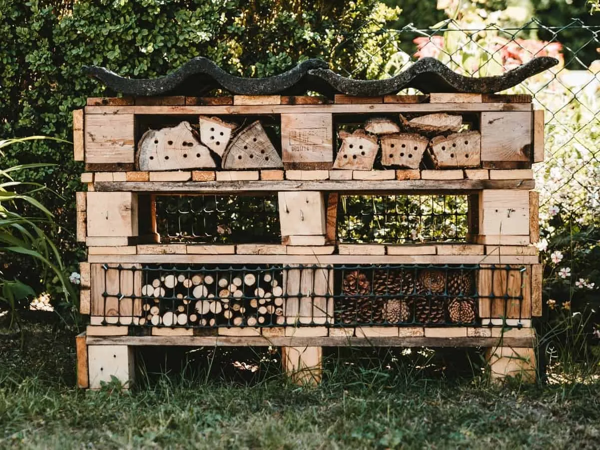 Bug hotel made from wooden pallets