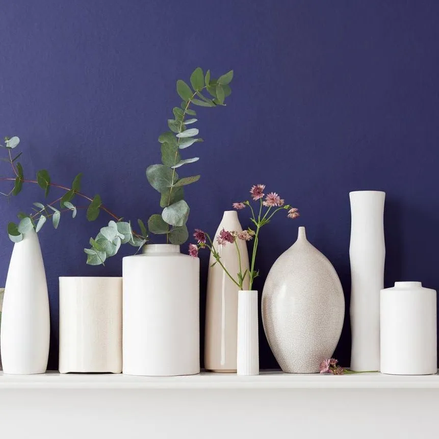 Inky blue feature wall