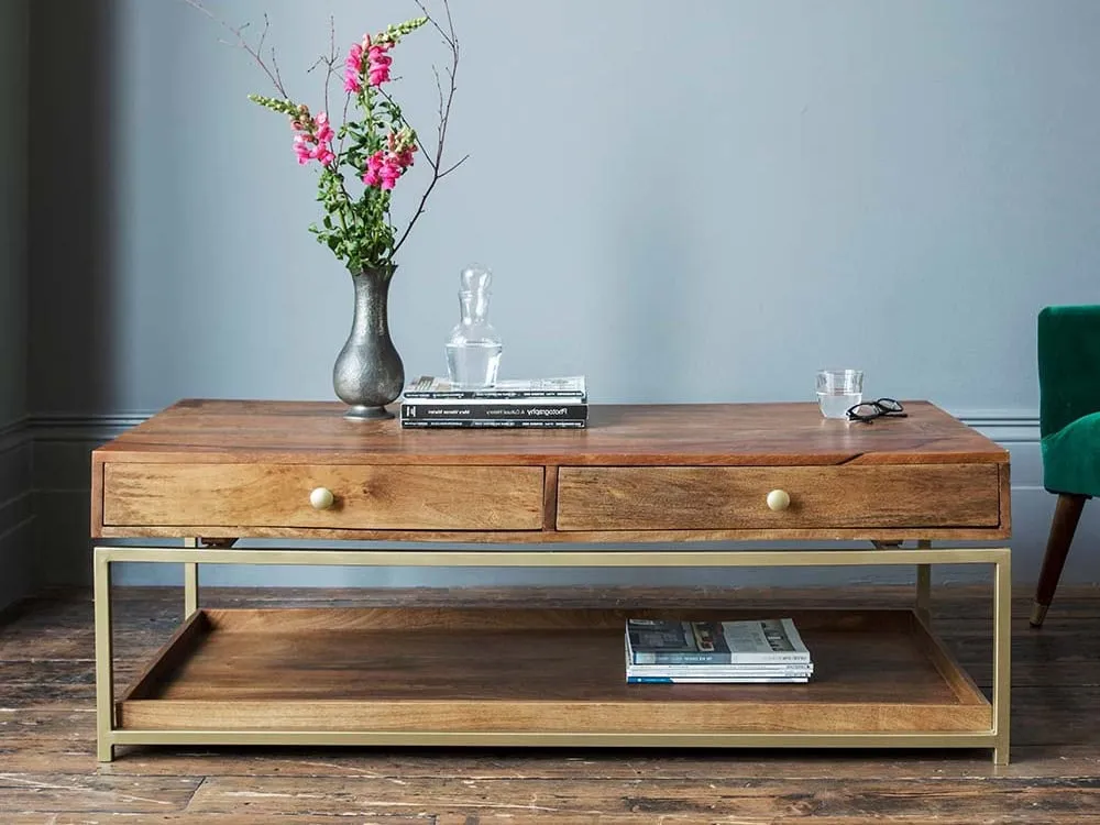 2-drawer mango console table with brass frame