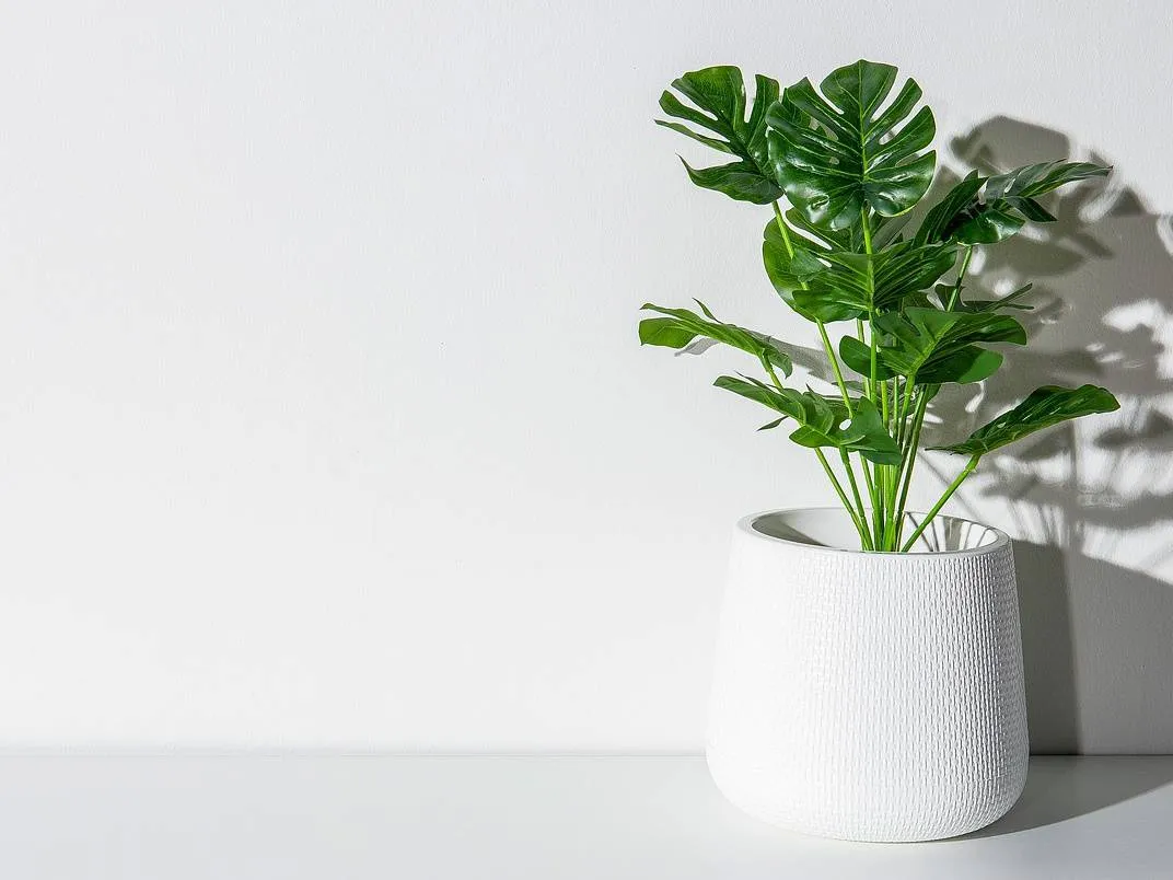 Artificial green leaf plant