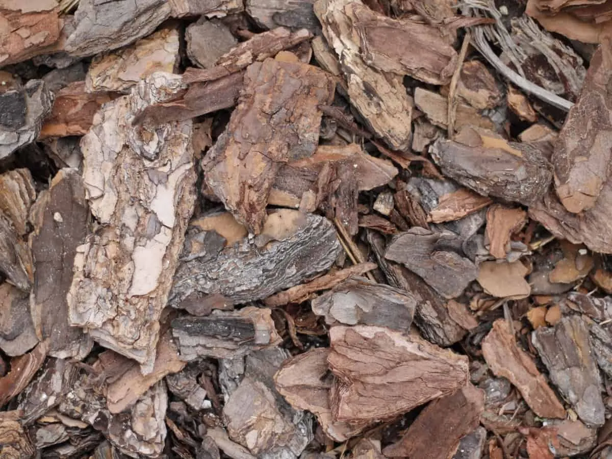 Bark chippings