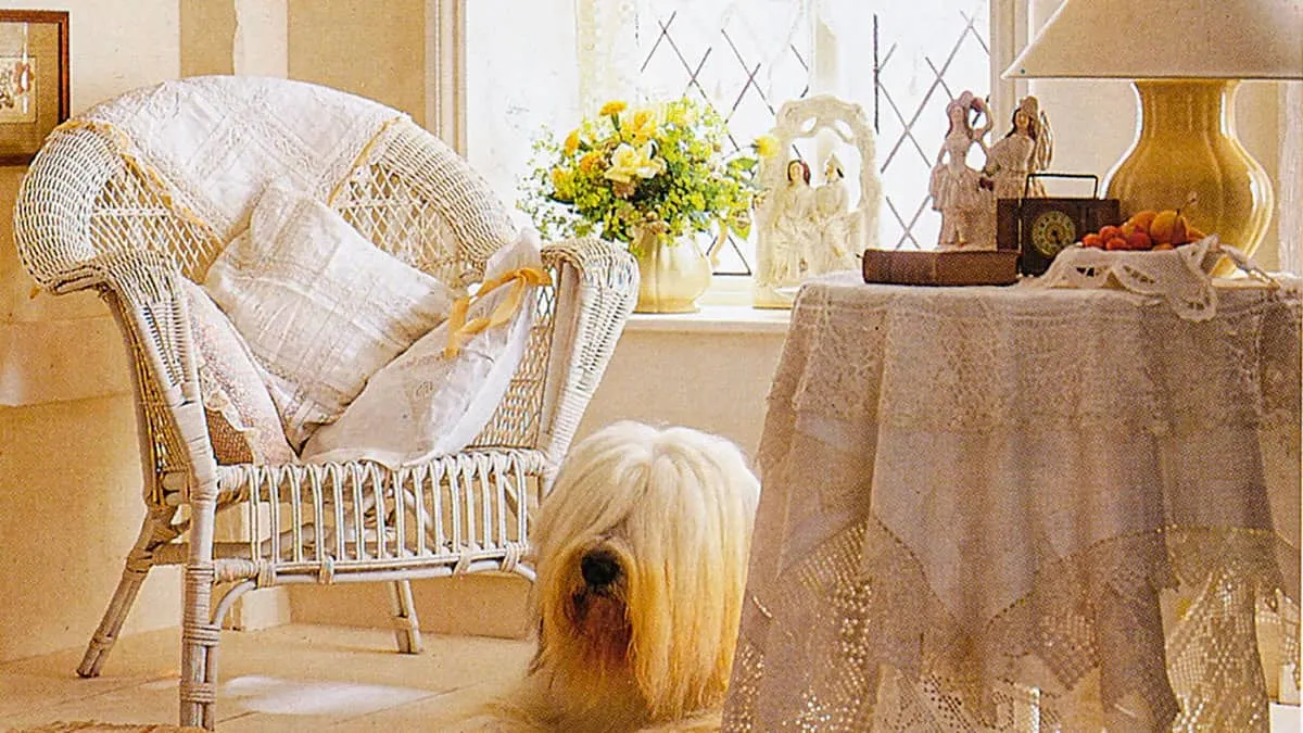 Dog and chair