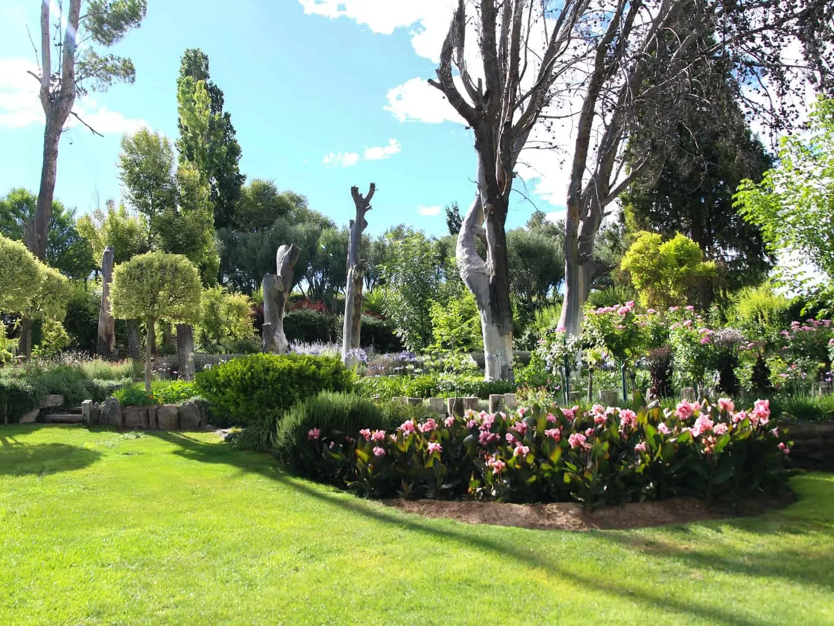 Landscaped garden area