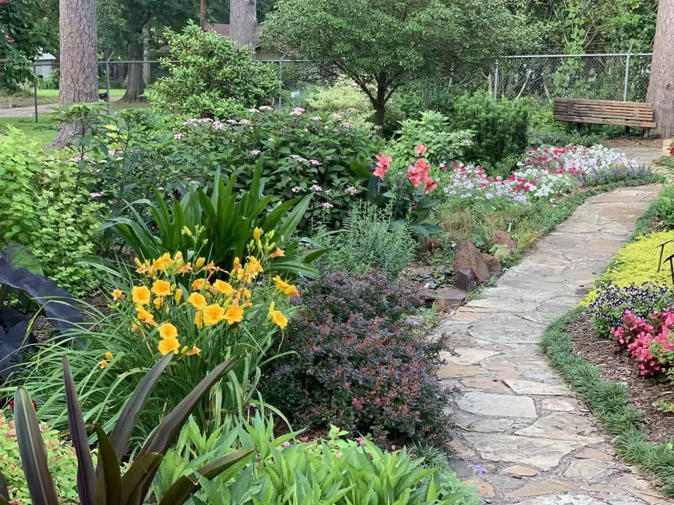 Crazy paving running through a well-planted garden area