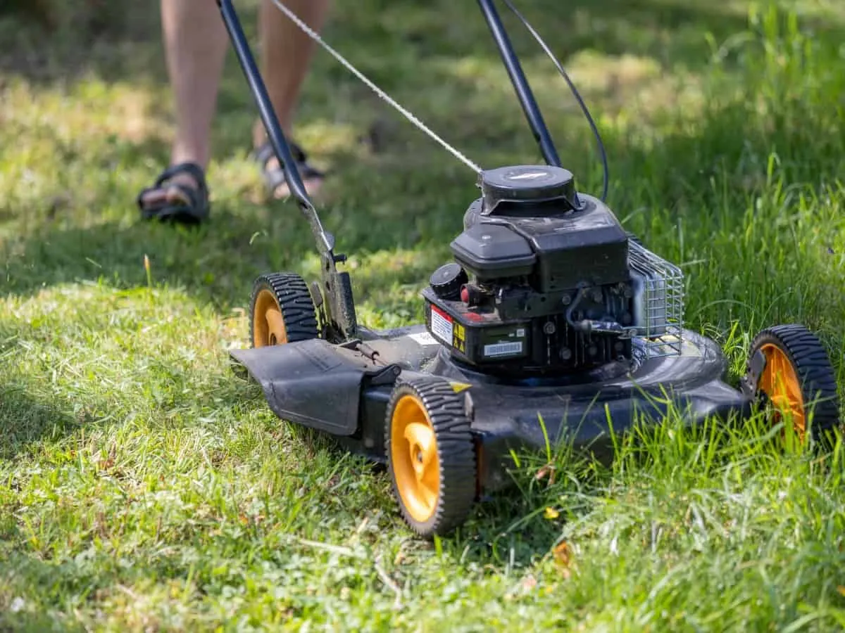 Mowing the lawn
