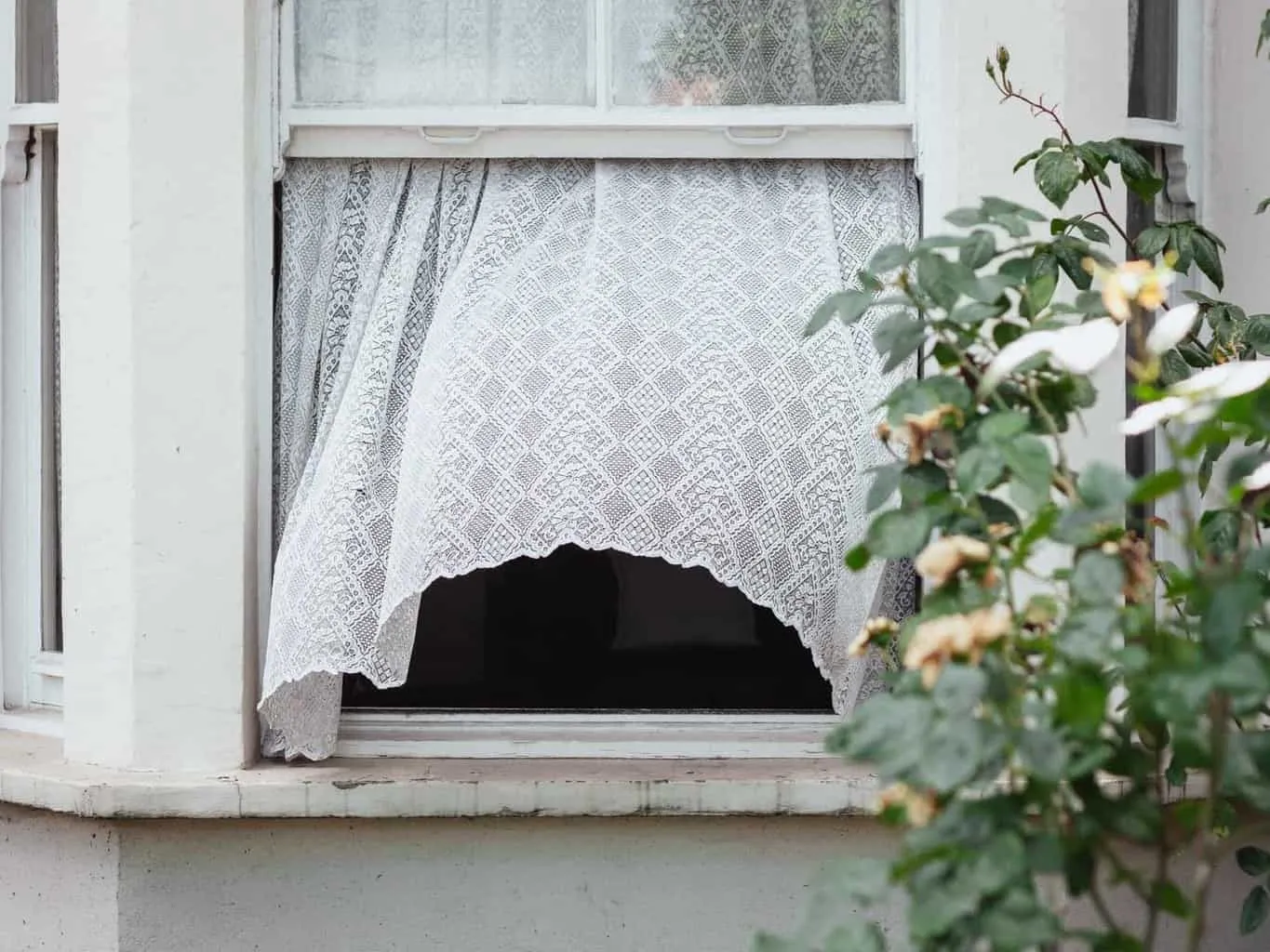 Open windows