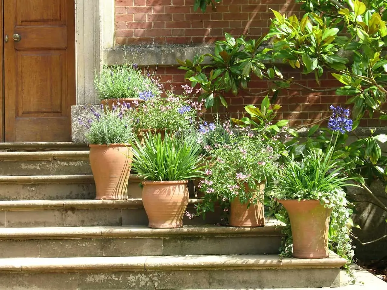 Plant conytainers placed on stone steps