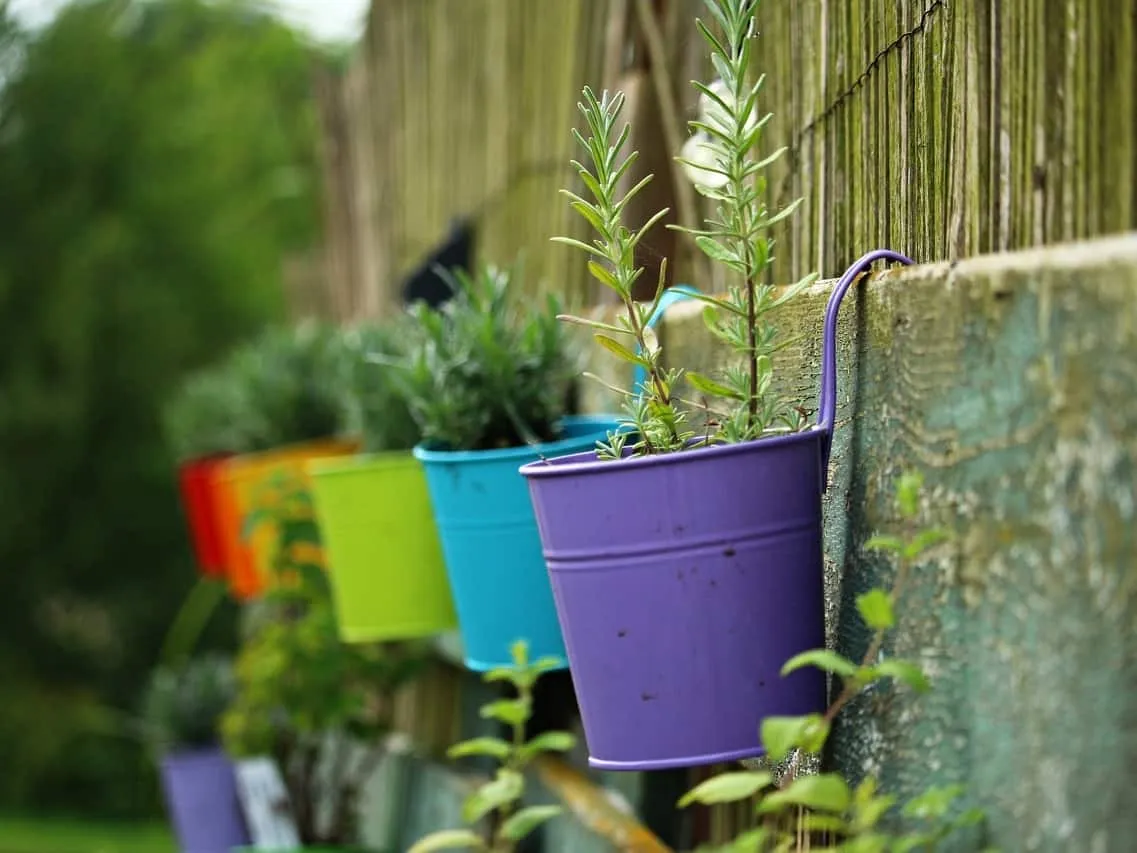 Hanging pot planters