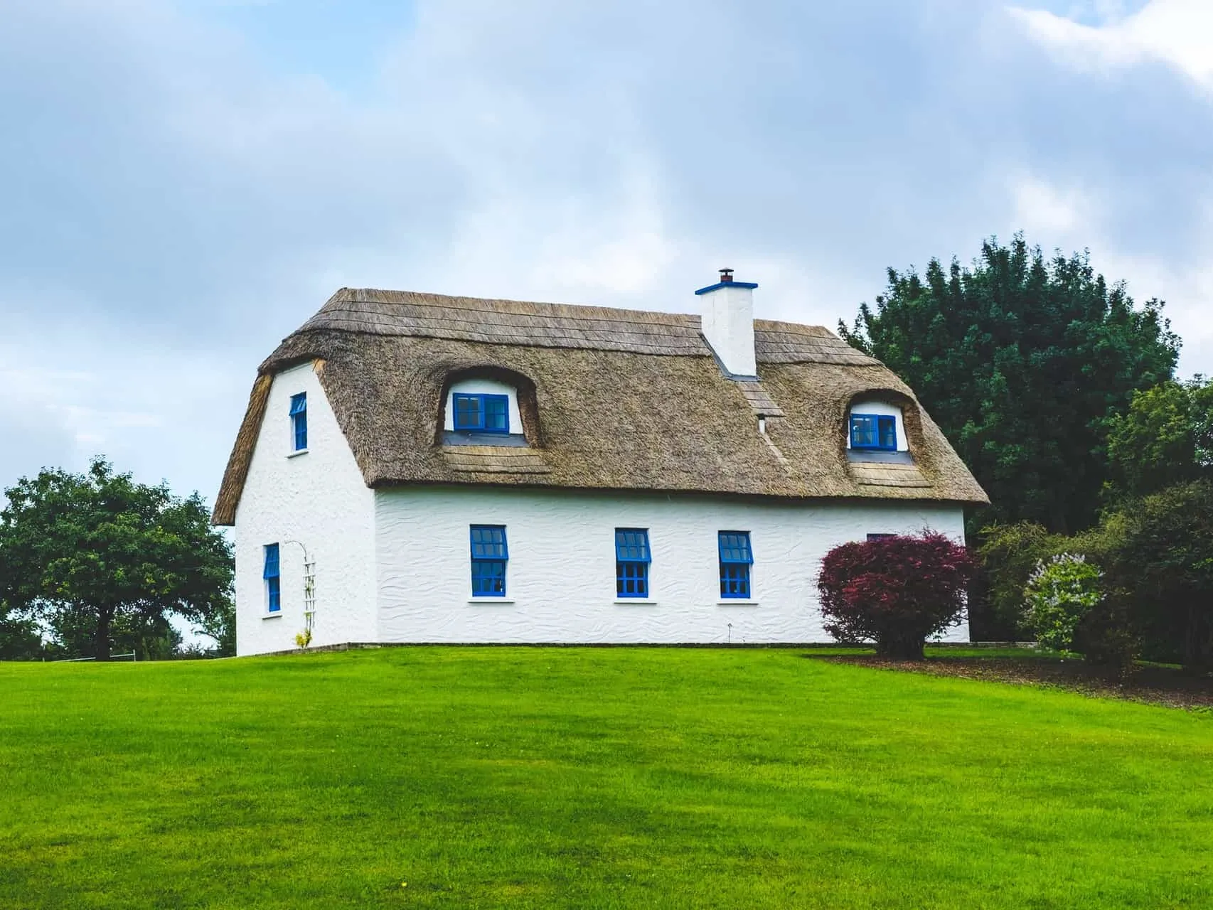 Freshly cut lawn