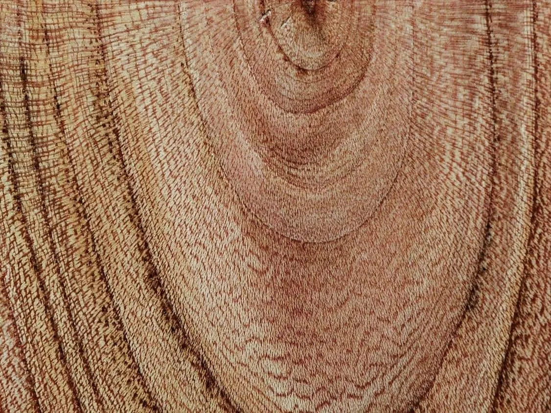 wood grain